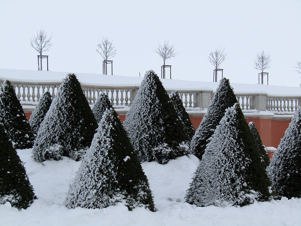 Ландшафтная фотосъемка. Репортажный фотограф Ольга Добросинская в Санкт-Петербурге