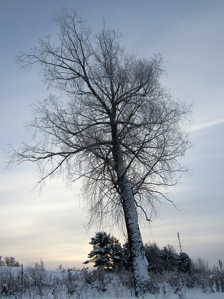 Пейзажи. Репортажный фотограф Ольга Добросинская в Санкт-Петербурге