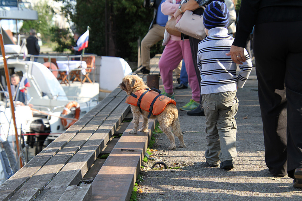Репортажная фотосъемка — Ораниенбаумский морской фестиваль. Репортажный фотограф Ольга Добросинская в Санкт-Петербурге