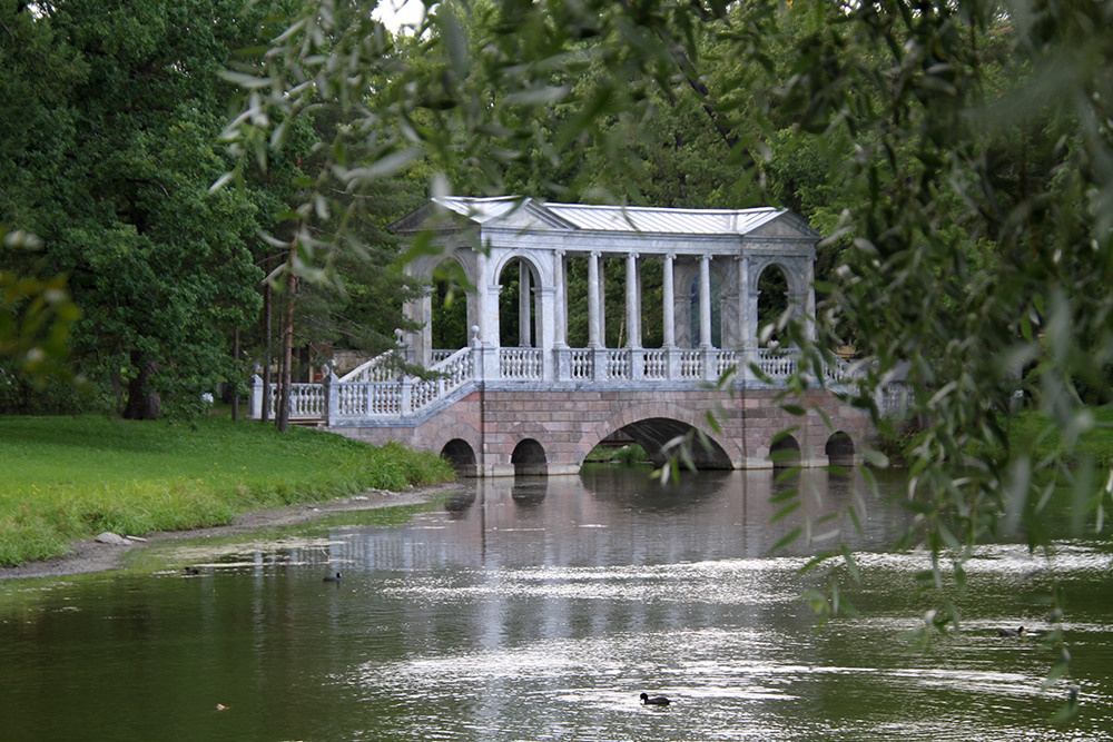 Ландшафтная фотосъемка. Репортажный фотограф Ольга Добросинская в Санкт-Петербурге