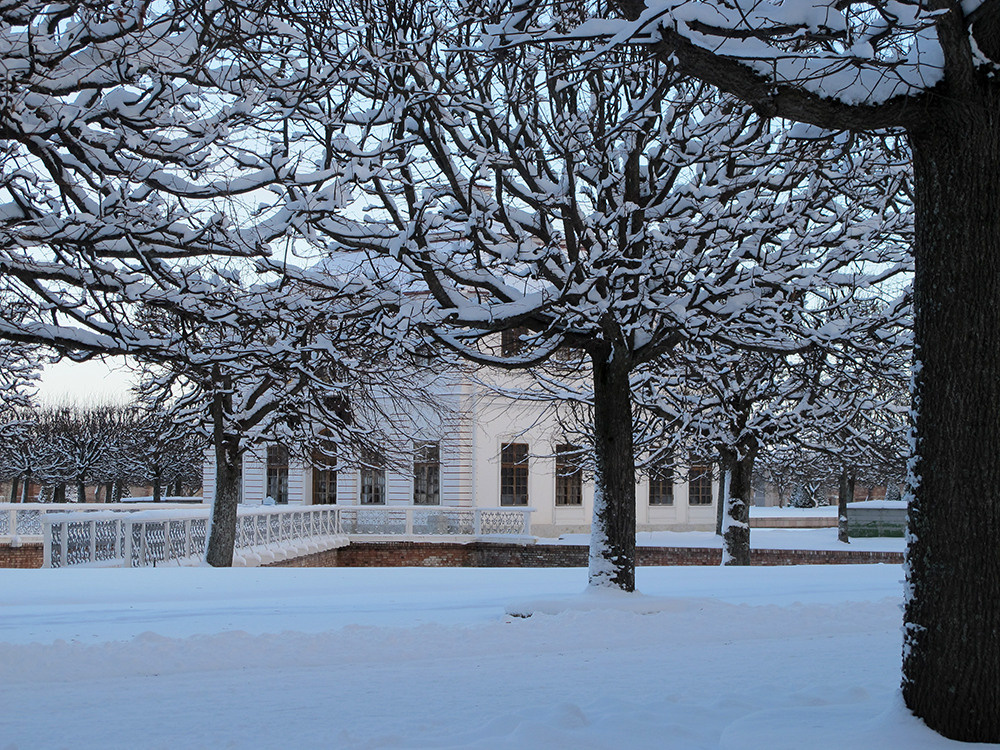 Ландшафтная фотосъемка. Репортажный фотограф Ольга Добросинская в Санкт-Петербурге