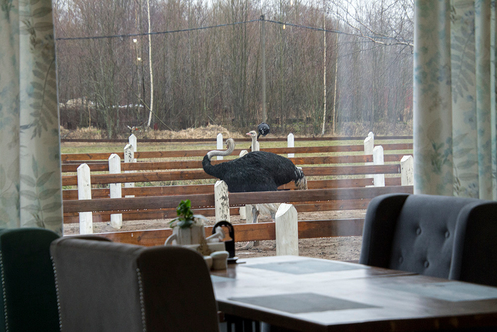 Интерьерная фотосъемка — Русская деревня Шуваловка. Репортажный фотограф Ольга Добросинская в Санкт-Петербурге