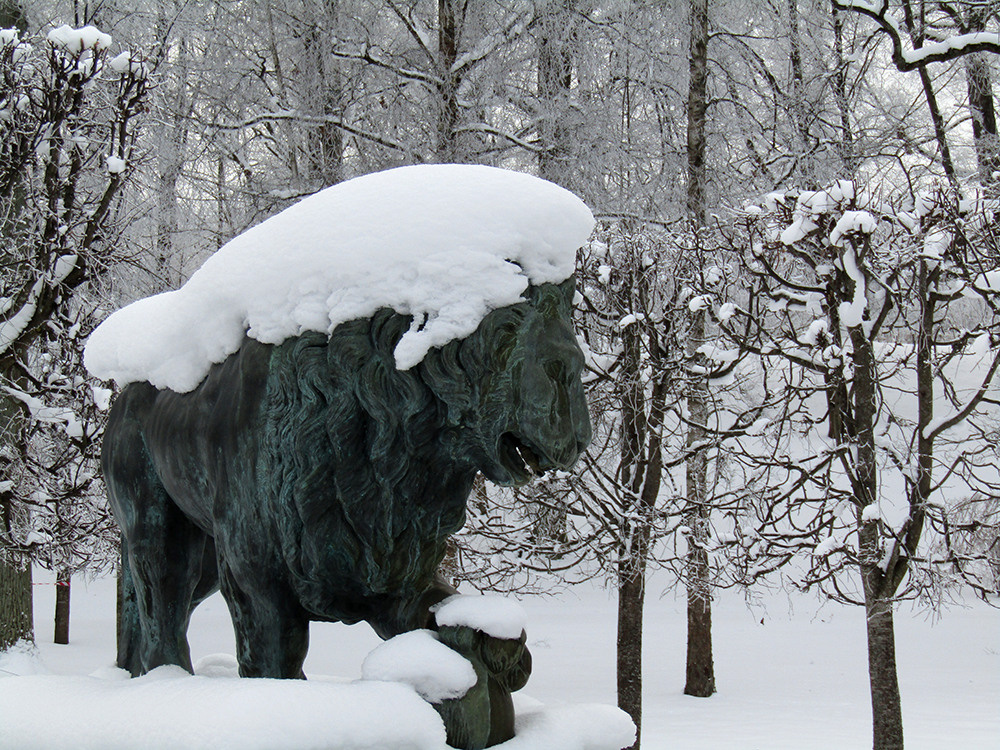 Скульптуры. Репортажный фотограф Ольга Добросинская в Санкт-Петербурге