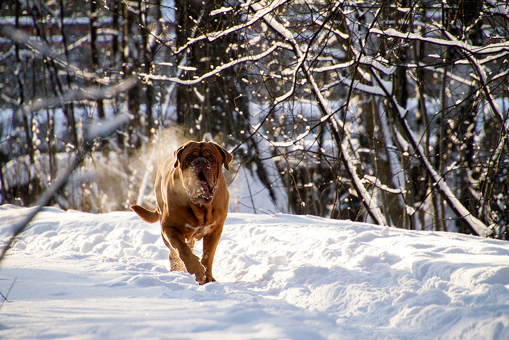 Фотосессия для Бади. Репортажный фотограф Ольга Добросинская в Санкт-Петербурге