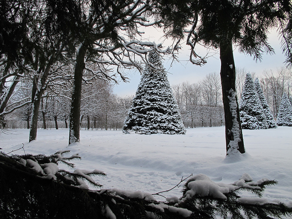 Ландшафтная фотосъемка. Репортажный фотограф Ольга Добросинская в Санкт-Петербурге