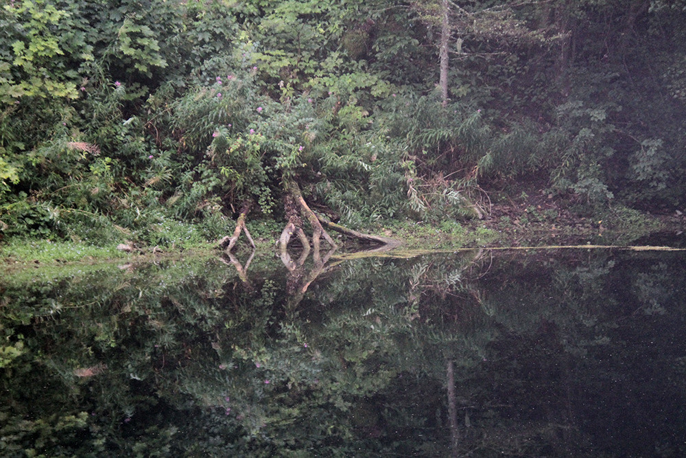 Пейзажи. Репортажный фотограф Ольга Добросинская в Санкт-Петербурге