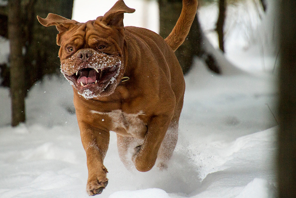 Фотосессия для Бади. Репортажный фотограф Ольга Добросинская в Санкт-Петербурге