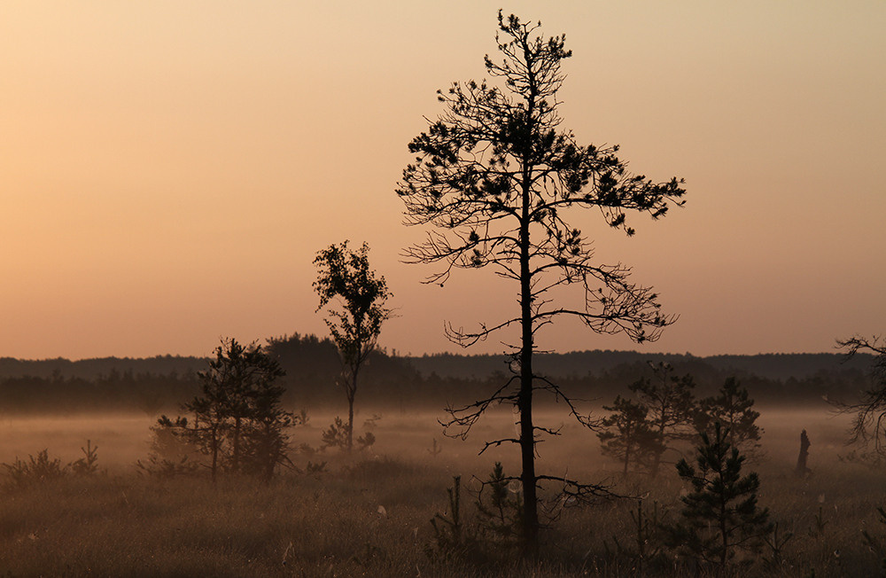 Магия утра. Репортажный фотограф Ольга Добросинская в Санкт-Петербурге