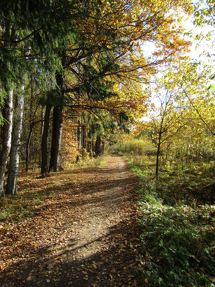 Пейзажи. Репортажный фотограф Ольга Добросинская в Санкт-Петербурге