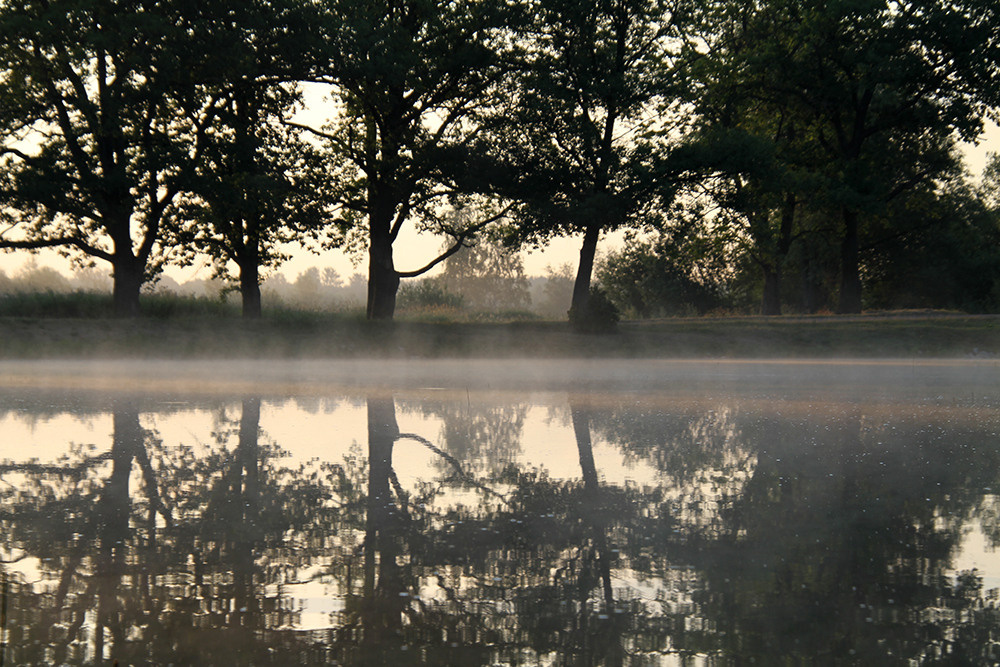 Магия утра. Репортажный фотограф Ольга Добросинская в Санкт-Петербурге