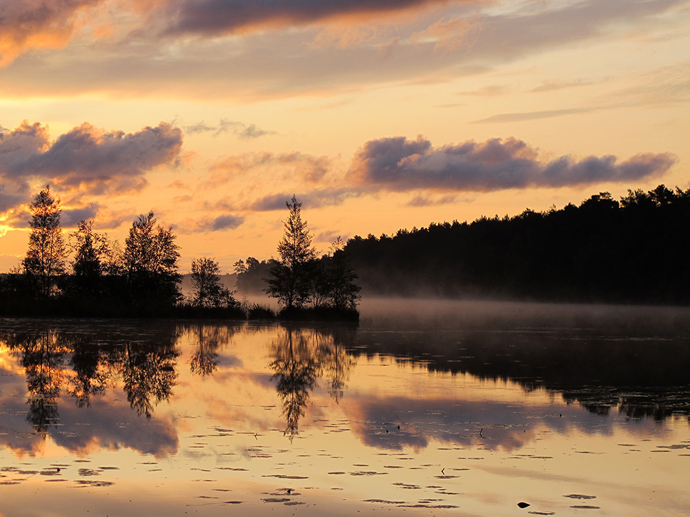 Магия утра. Репортажный фотограф Ольга Добросинская в Санкт-Петербурге