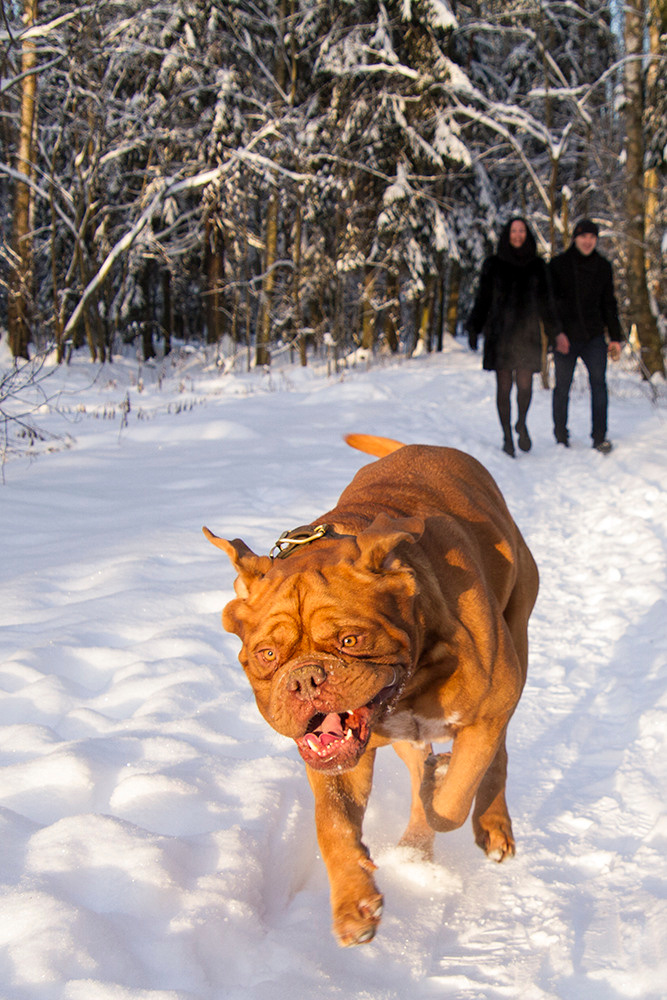 Фотосессия для Бади. Репортажный фотограф Ольга Добросинская в Санкт-Петербурге