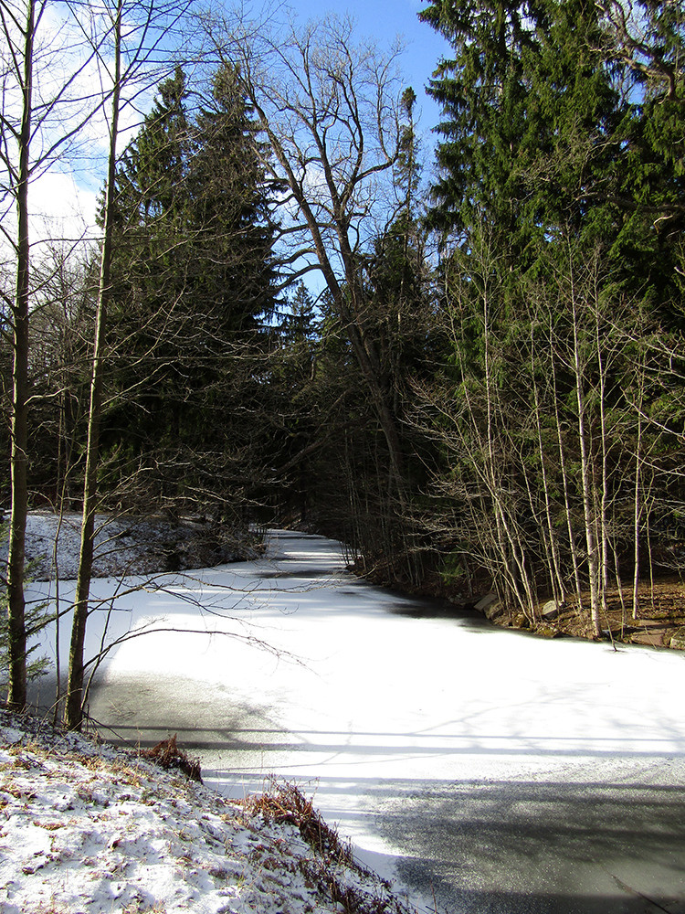 Пейзажи. Репортажный фотограф Ольга Добросинская в Санкт-Петербурге