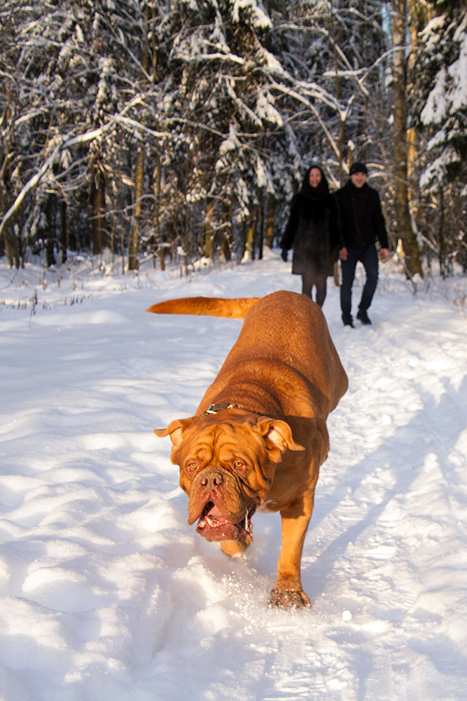 Фотосессия для Бади. Репортажный фотограф Ольга Добросинская в Санкт-Петербурге