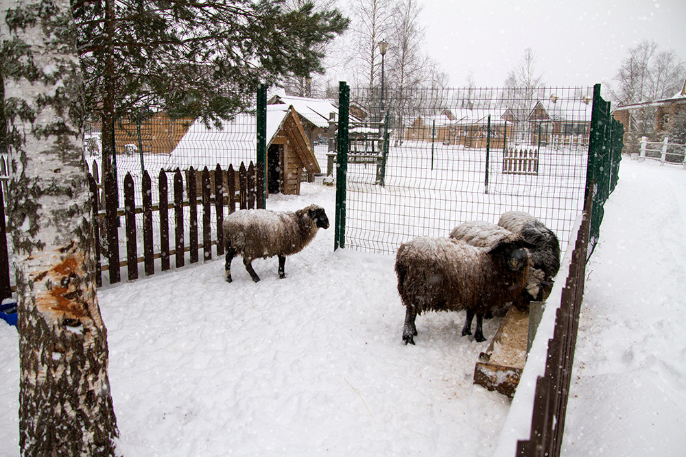 Интерьерная фотосъемка — Русская деревня Шуваловка. Репортажный фотограф Ольга Добросинская в Санкт-Петербурге