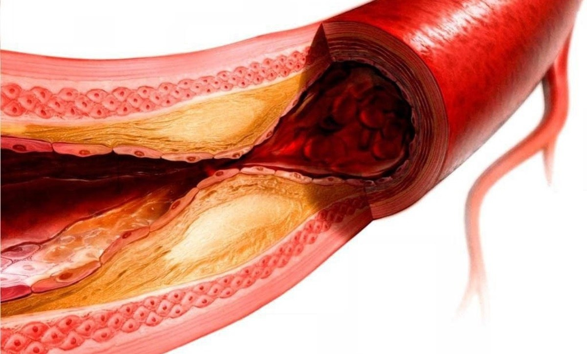 Готовые курсы приема продукции компании Сово-Сова. Сово-Сово — Омоложение и оздоровление!