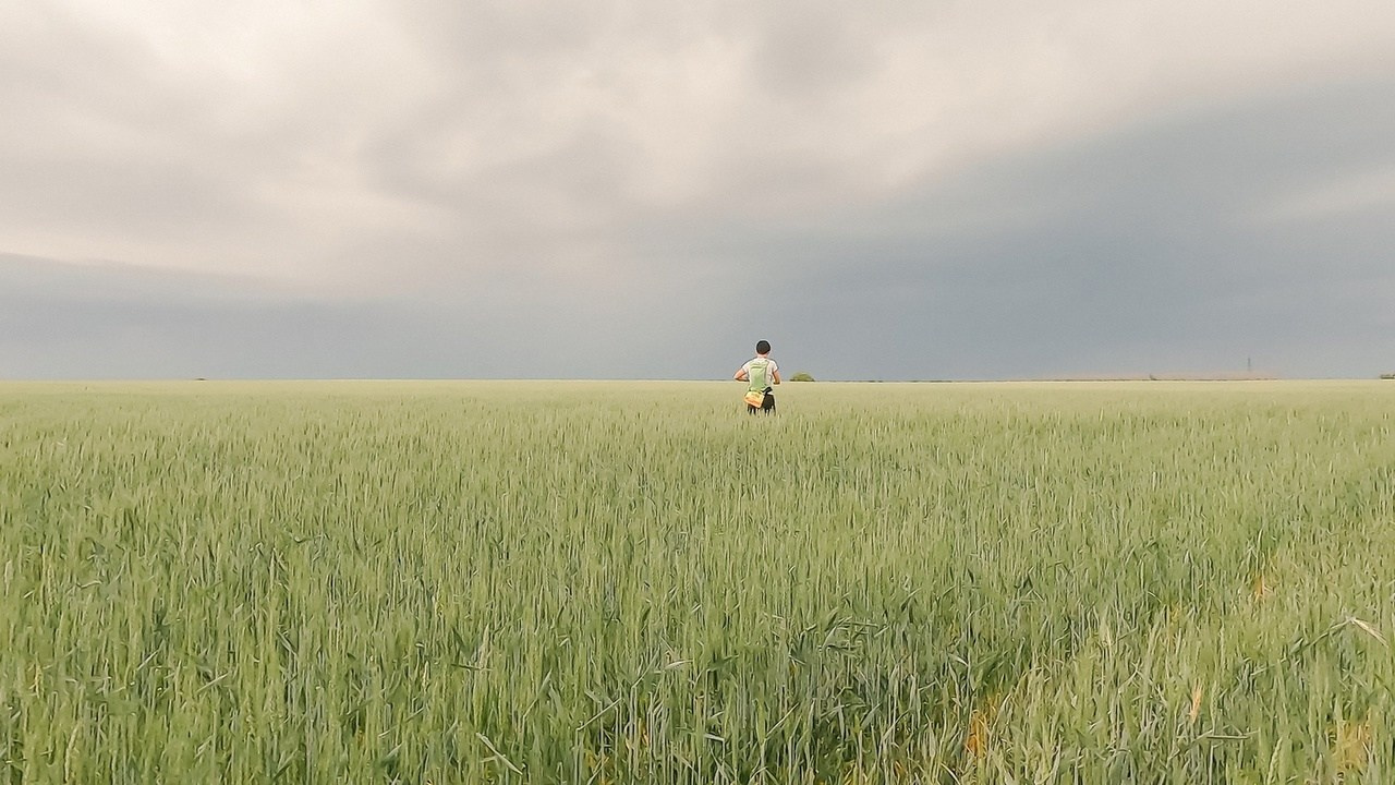 CrazyOwl 50k Running Heroes Russia Воронеж. Белый Колодец. 15-16.06.2024 г. Роман Капилюшов. Бег. Фото. Видео. г. Люберцы