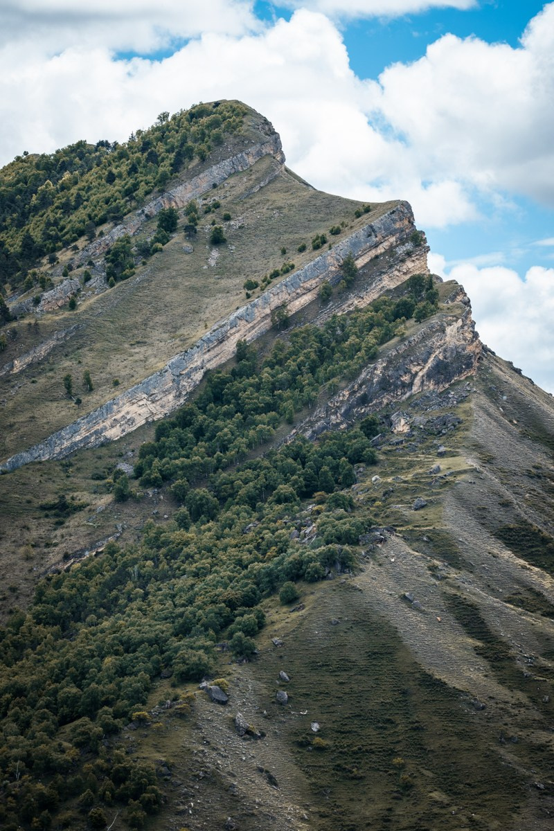 Горы. Photomantis