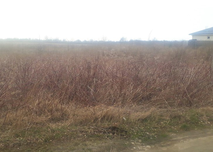 Расчистка Калининград