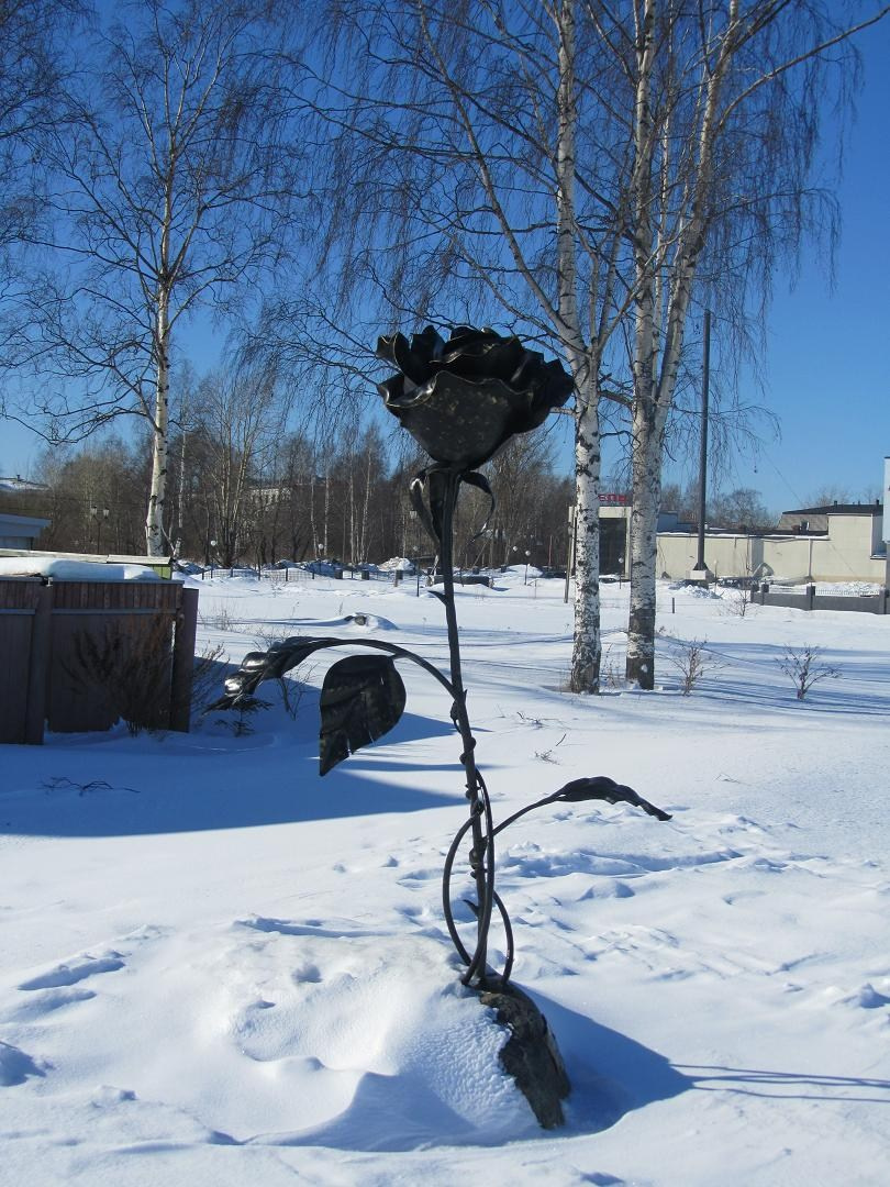 Петрозаводск. Блог Бурёшкина