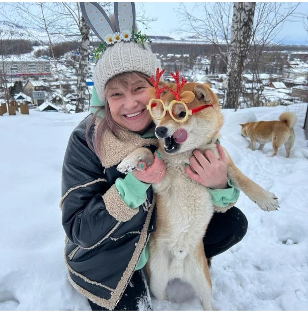 Щенки сиба-ину, шиба, Отец: SHIOMARU EVER DREAM Мать: TRIUMF SIBIRI AKIKO CHIKAKO, Санкт-Петербург, RUBYLIGHT kennel