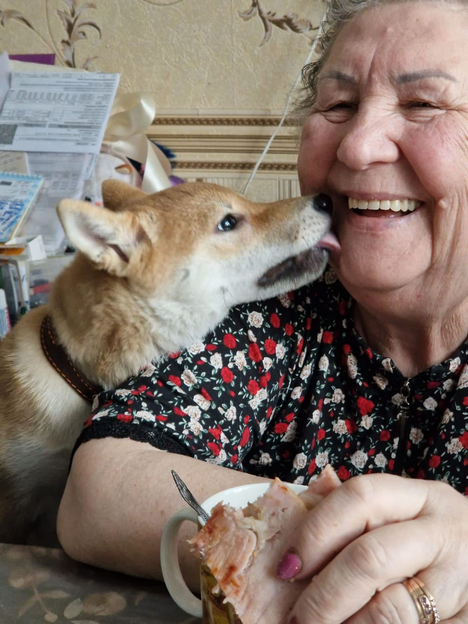 RUBYLIGHT Rika сиба питомник Рубилайт 