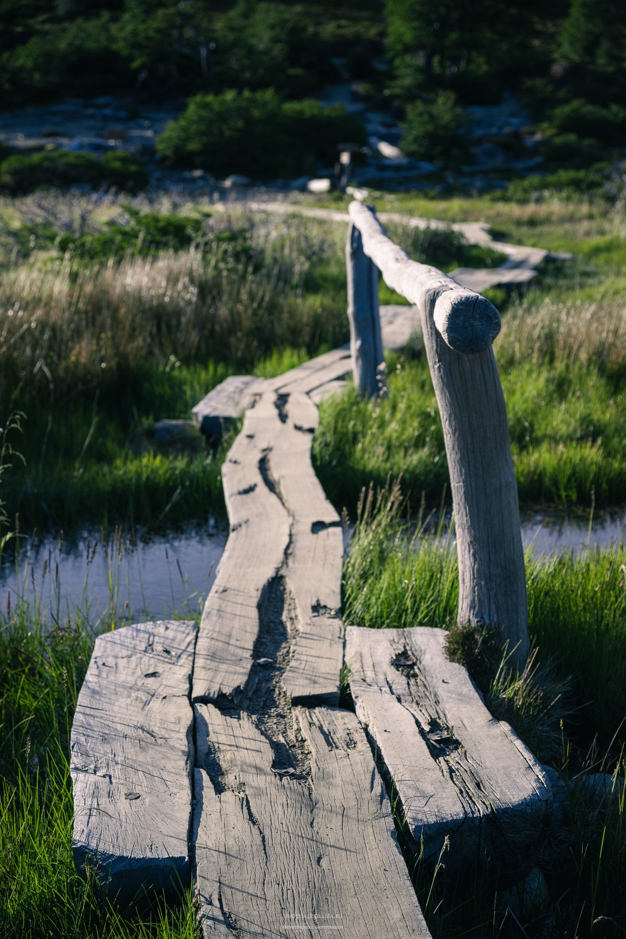 Патагония. Авторские стильные фотокартины