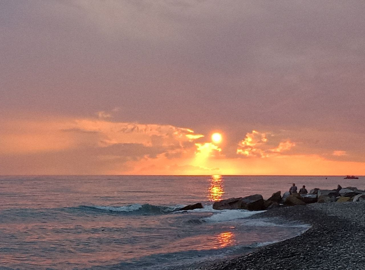 Природа. Фотокружок «Видоискатель» ГБОУ СОШ № 291