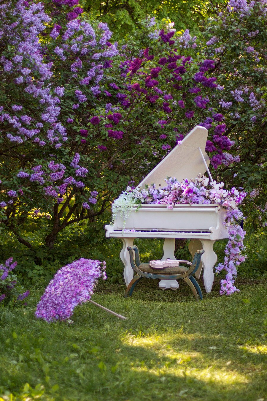 Топ мест где цветет сирень