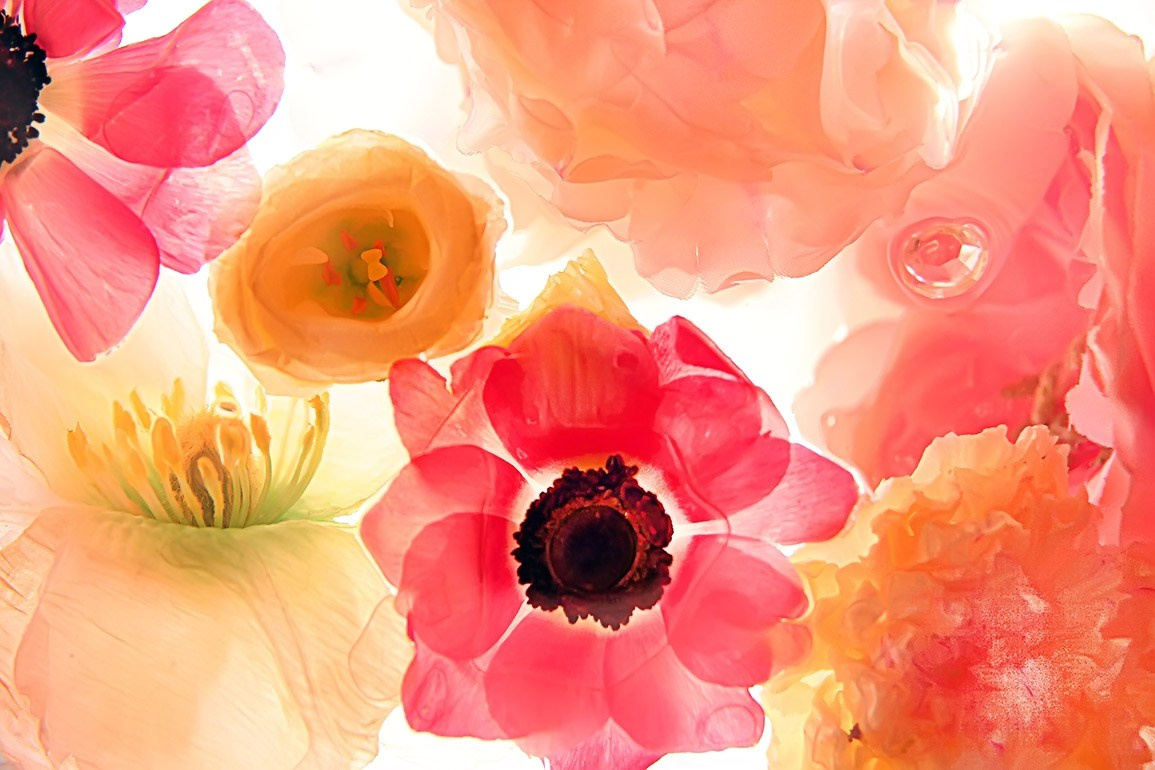 FINE ART. Denisgeorgievski