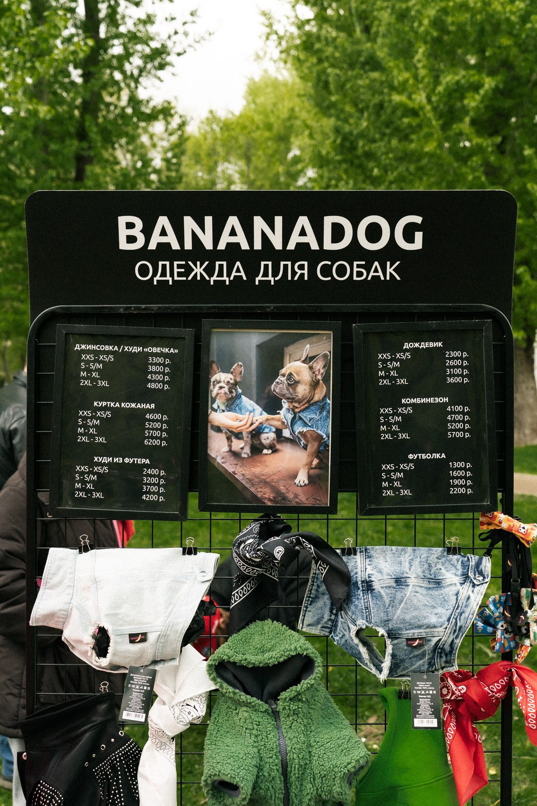 Парад Бульдогов. Axenov_eugene