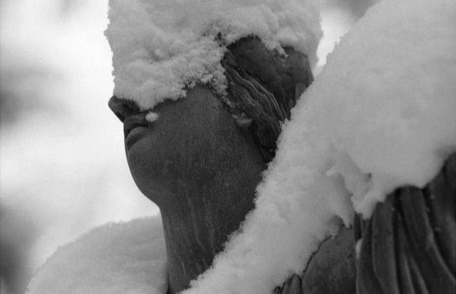 Those. Елена Цихон художник фотографии и мастер фото-ДНК