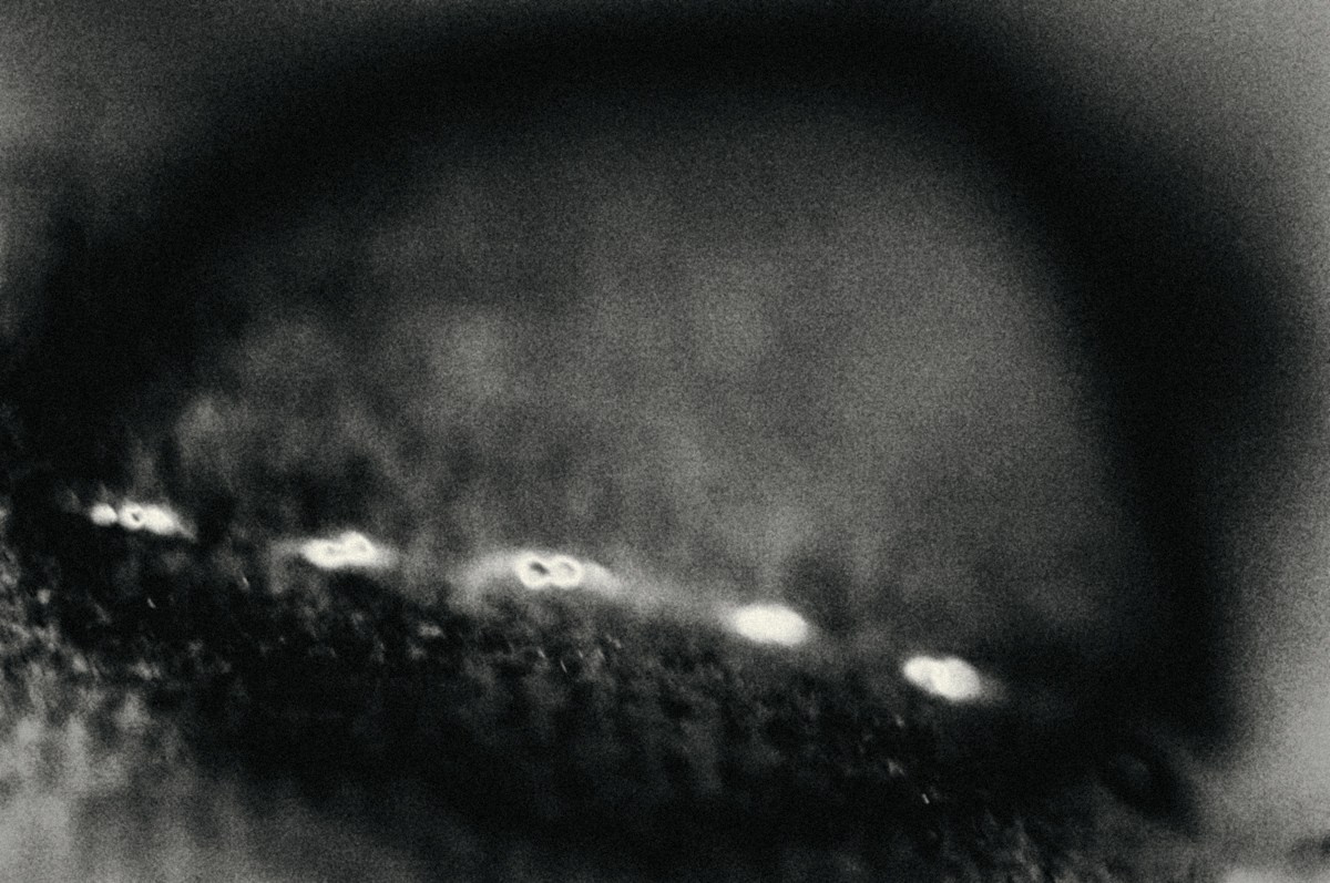 Bw. ПЕТР ПОПОВ | VISUAL ARTIST