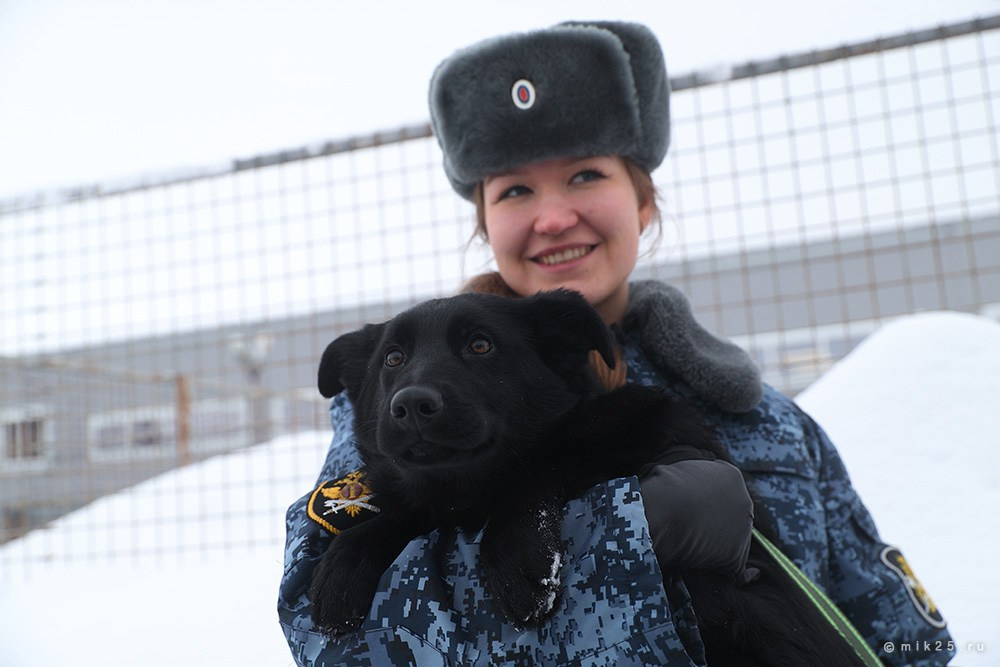 Разное. Конец зимы. Mik25