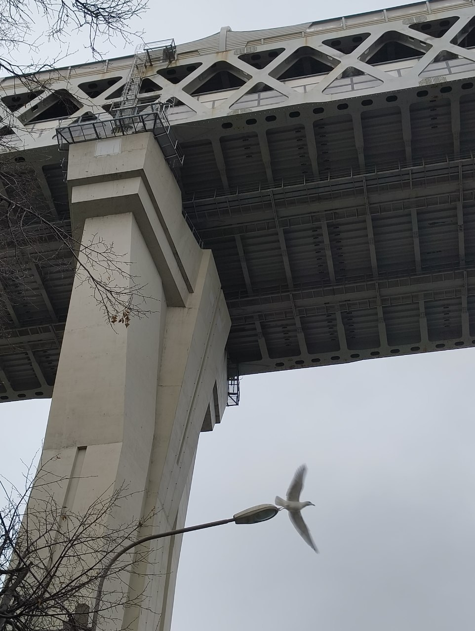 ph: Наумова Наталия