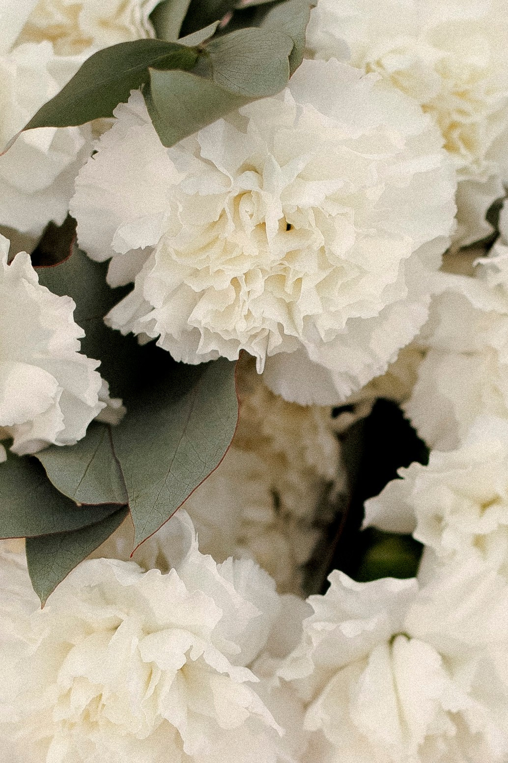 Ира и Данил 08.08.24. Индивидуальный, семейный и свадебный фотограф