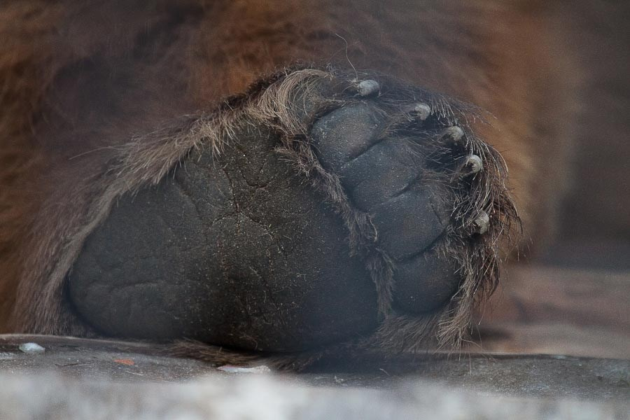 Street art. Фотостудия Алматы. Фотосъемка Алматы. Фотосессия Алматы. Фотокурсы. Обучение фотографии. Аренда студии