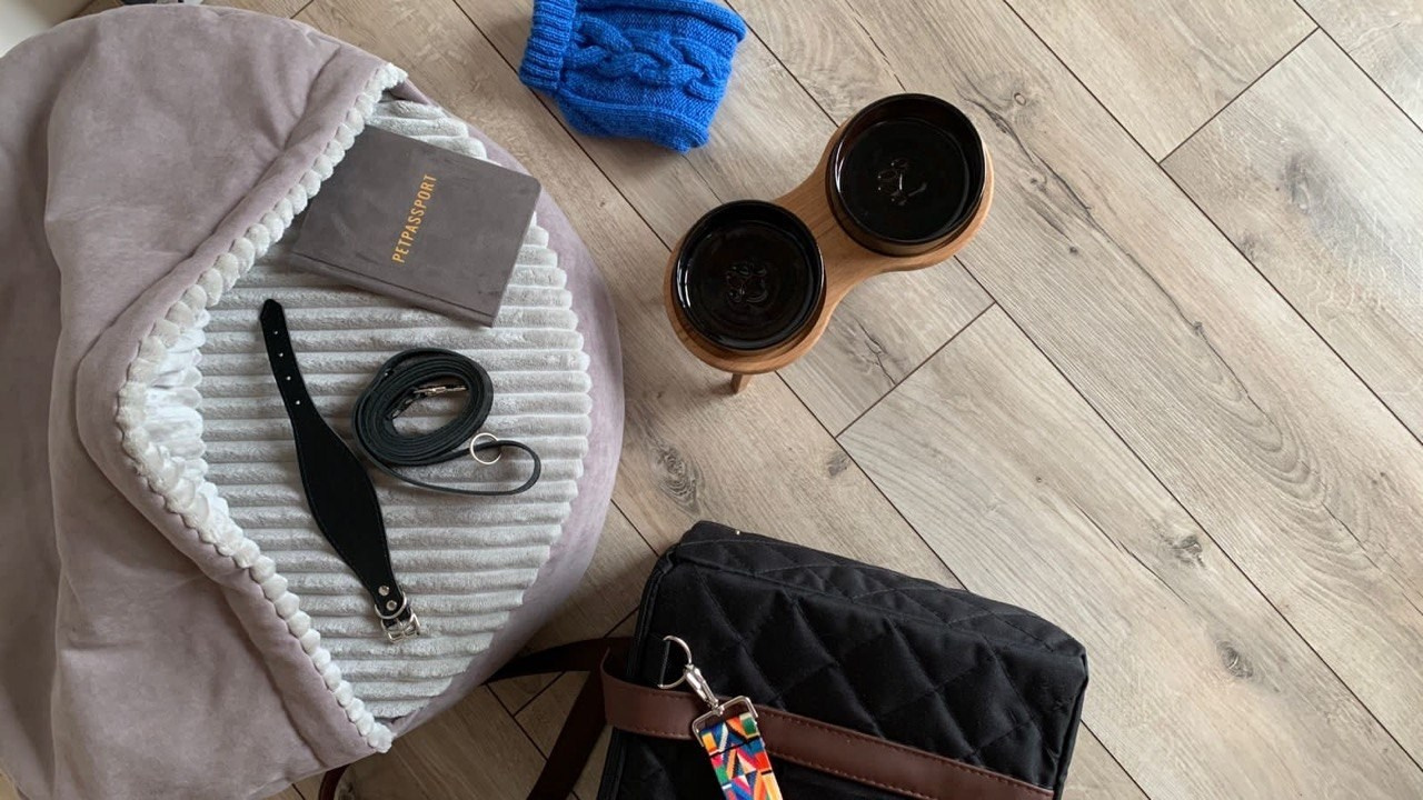 Сон и отдых. Профессиональный питомник левреток РКФ/FCI ASTI SAPPHIRE 💎 Сочи|Санкт-Петербург