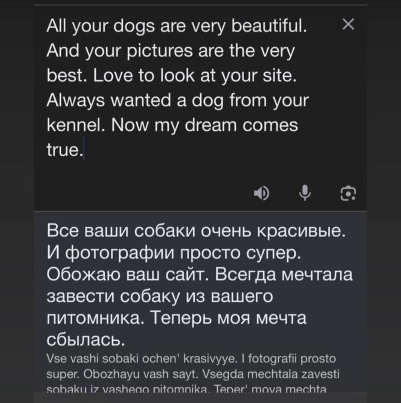 Welcome. Профессиональный питомник левреток РКФ/FCI ASTI SAPPHIRE 💎 Сочи|Санкт-Петербург