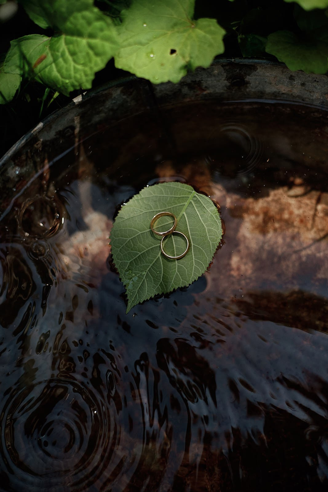 Свадьбы. Главная