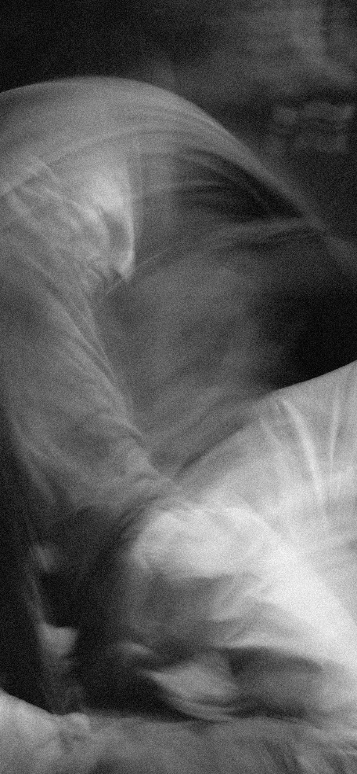 NBD 2023. LIYALEE PHOTO