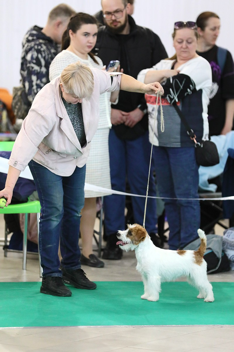 Port Fortis Nord Star