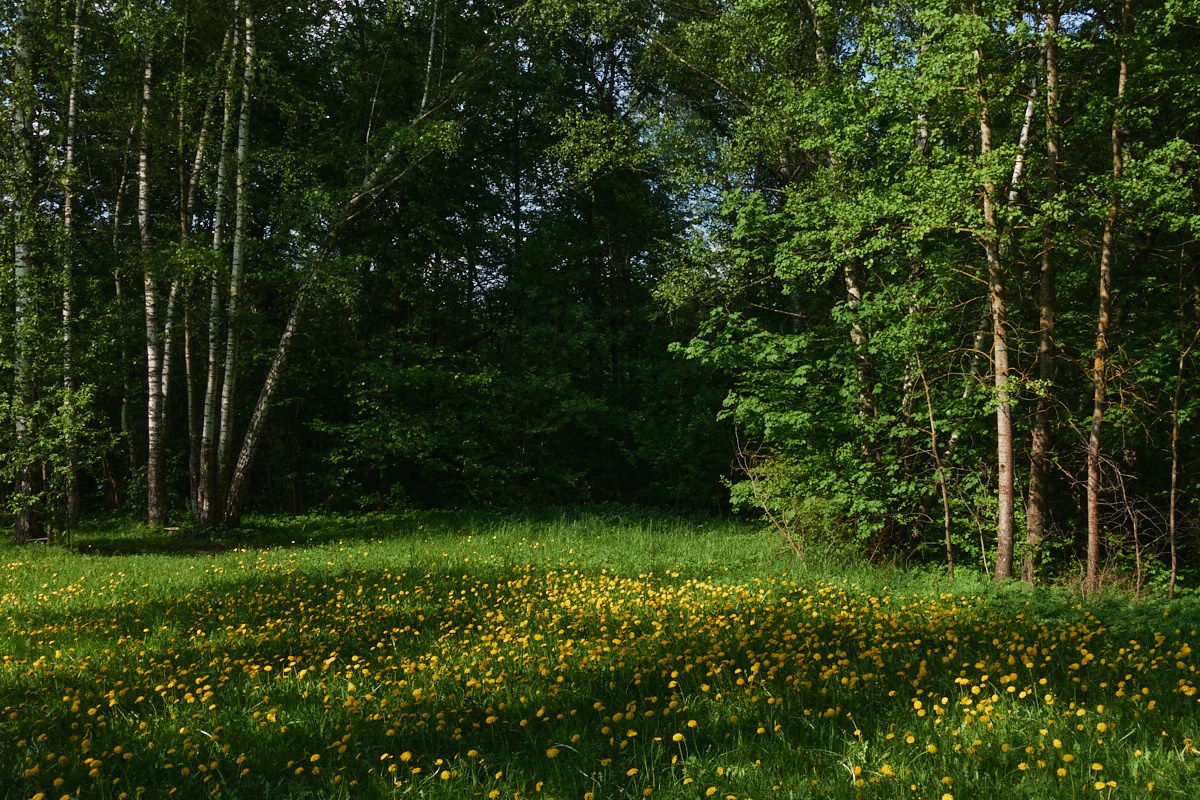 Окна 25. Иван Кобяков