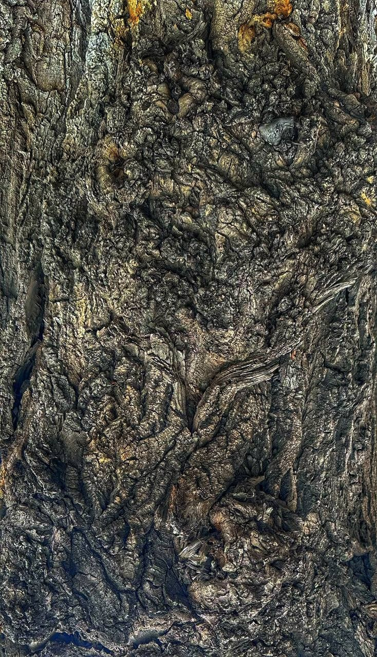 2024. Тащилин Сергей. Фотографии. Жизнь. Хобби