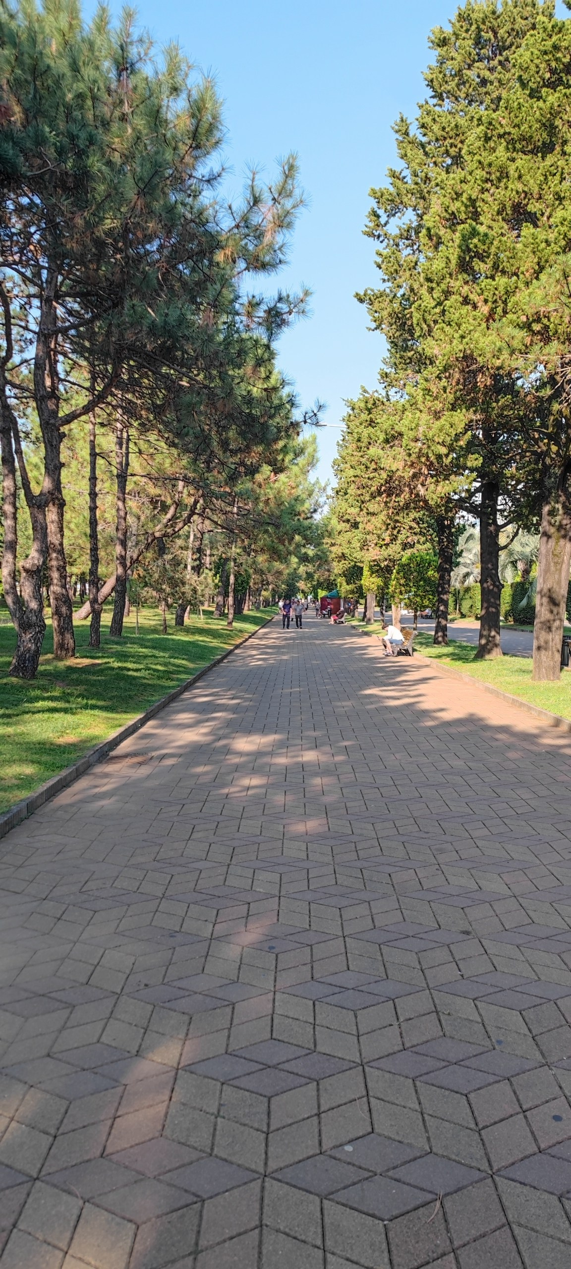 Батуми (Грузия)