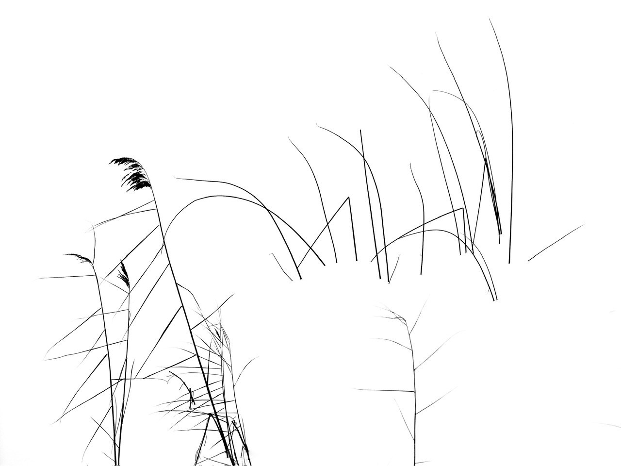 Реальная геометрия. Фотограф Евгений Андреев