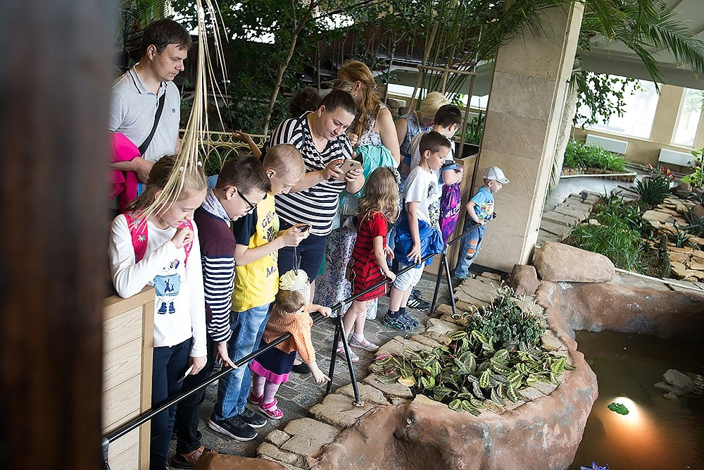 Благотворительный показ ТЮЗ. Детский и семейный фотограф, фотограф мероприятий Нижний Новгород