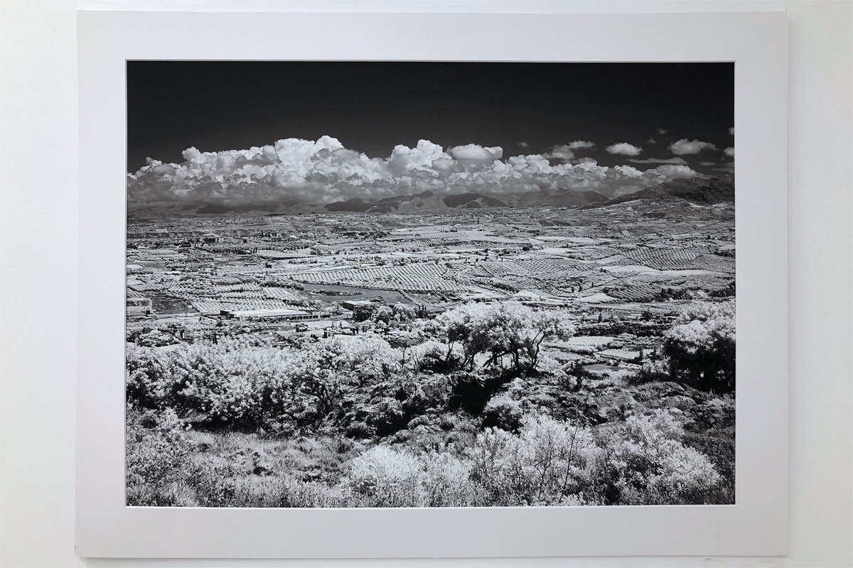 2022-Ностальгия по Криту. Главная