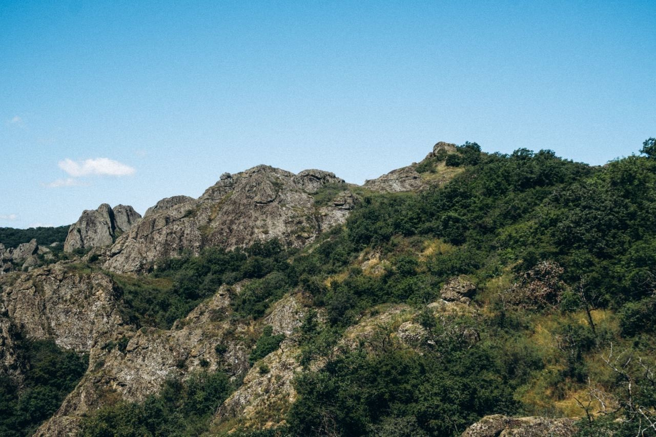 Биртвиси, Грузия 🇬🇪 «Honey Trip». Anita_photo