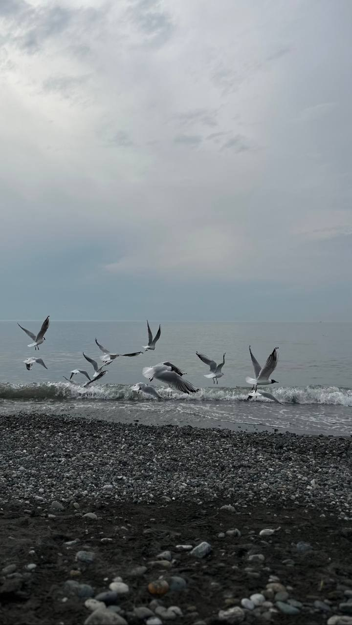 КУРС ПО ФОТО/ВИДЕО СЪЕМКЕ «СЧАСТЬЕ В ПРОСТОМ». Фотография. Визуально-чувственный мир души